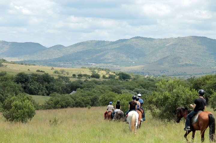 Harties Horse Trail Safari Half day - Photo 1 of 7